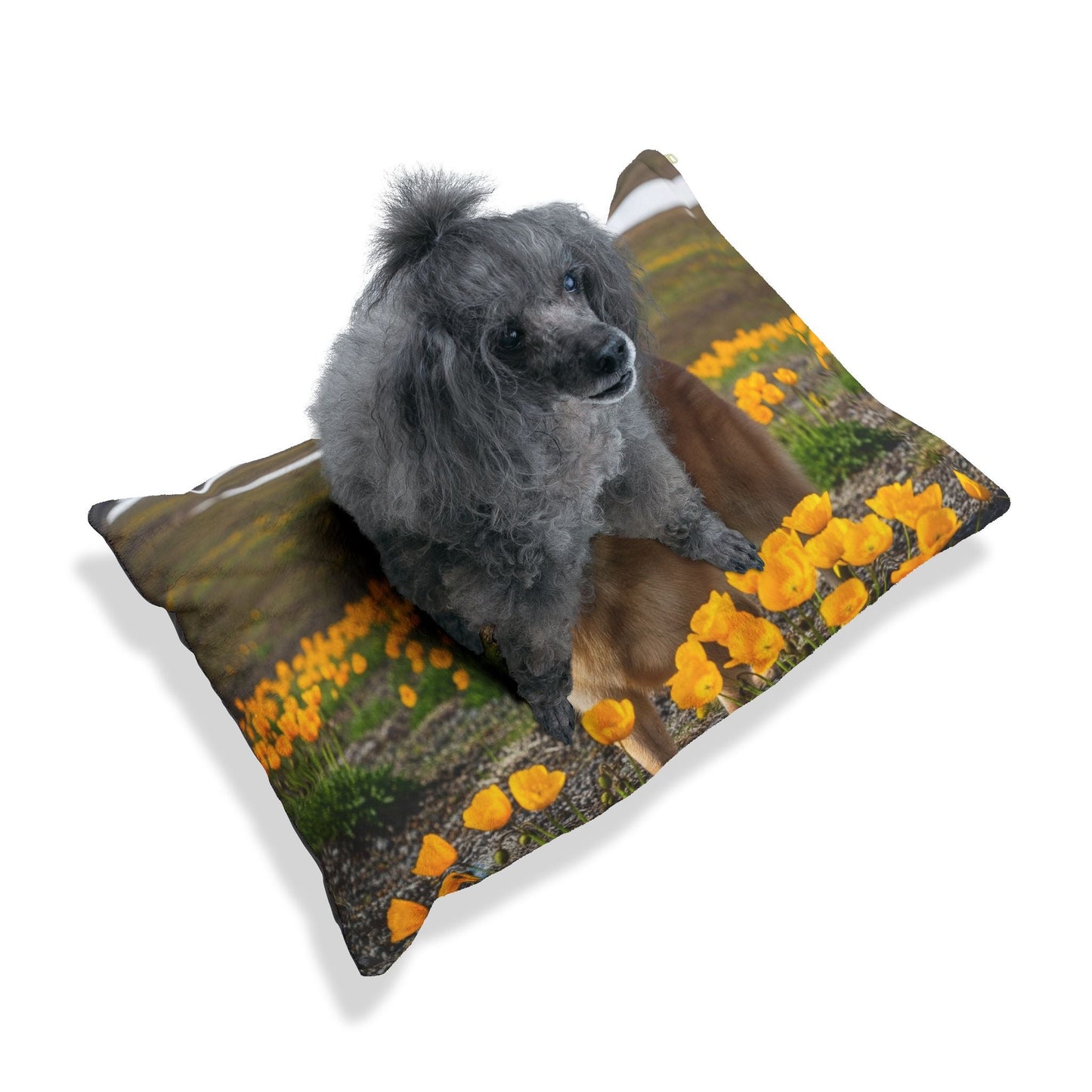Lit pour animaux de compagnie – Lit douillet pour chien, 3 tailles disponibles