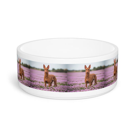 Ceramic Pet Bowl – 16 oz Dog Feeding Bowl