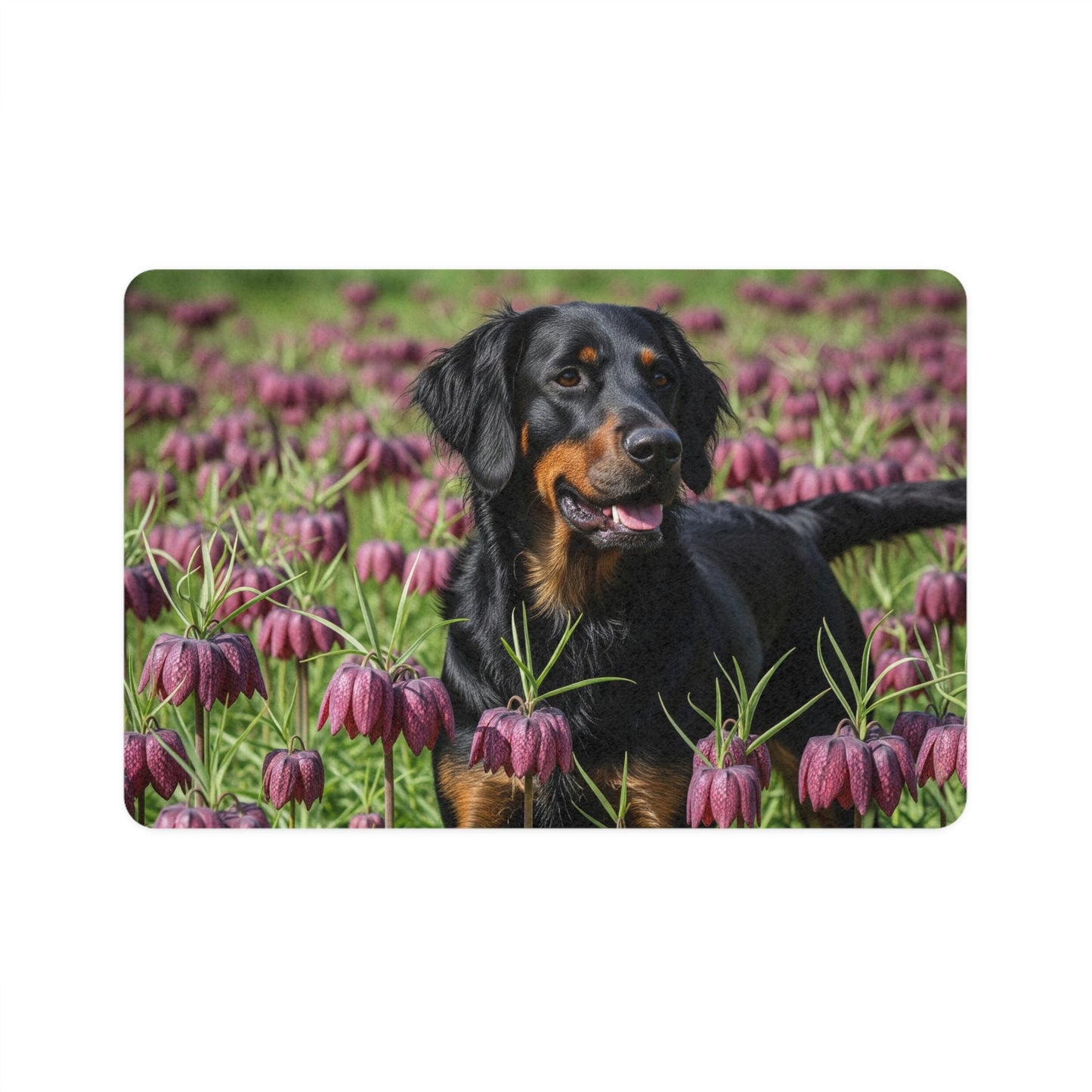 Non-Slip Pet Food Mat – Waterproof Feeding Mat for Dogs