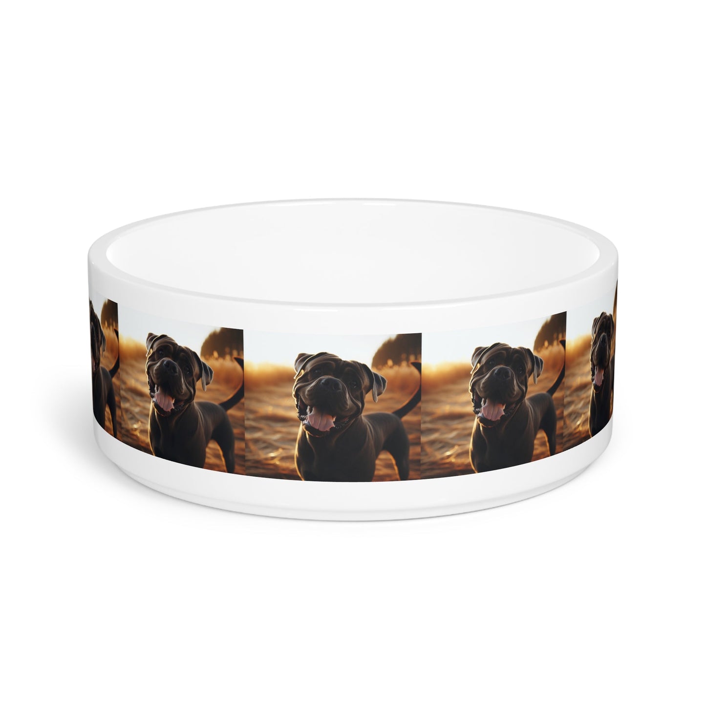 Ceramic Pet Bowl – 16 oz Dog Feeding Bowl