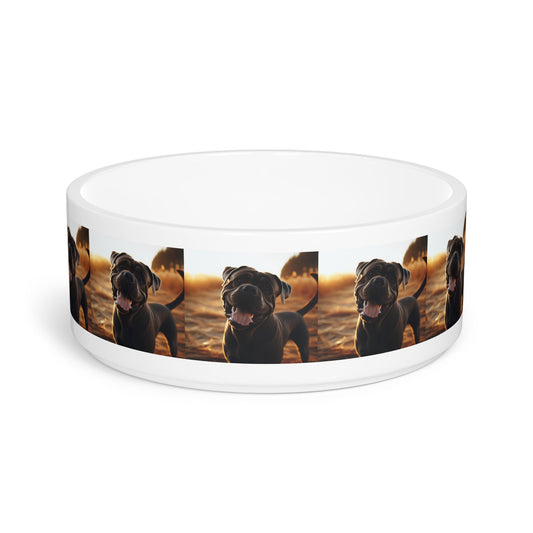 Ceramic Pet Bowl – 16 oz Dog Feeding Bowl