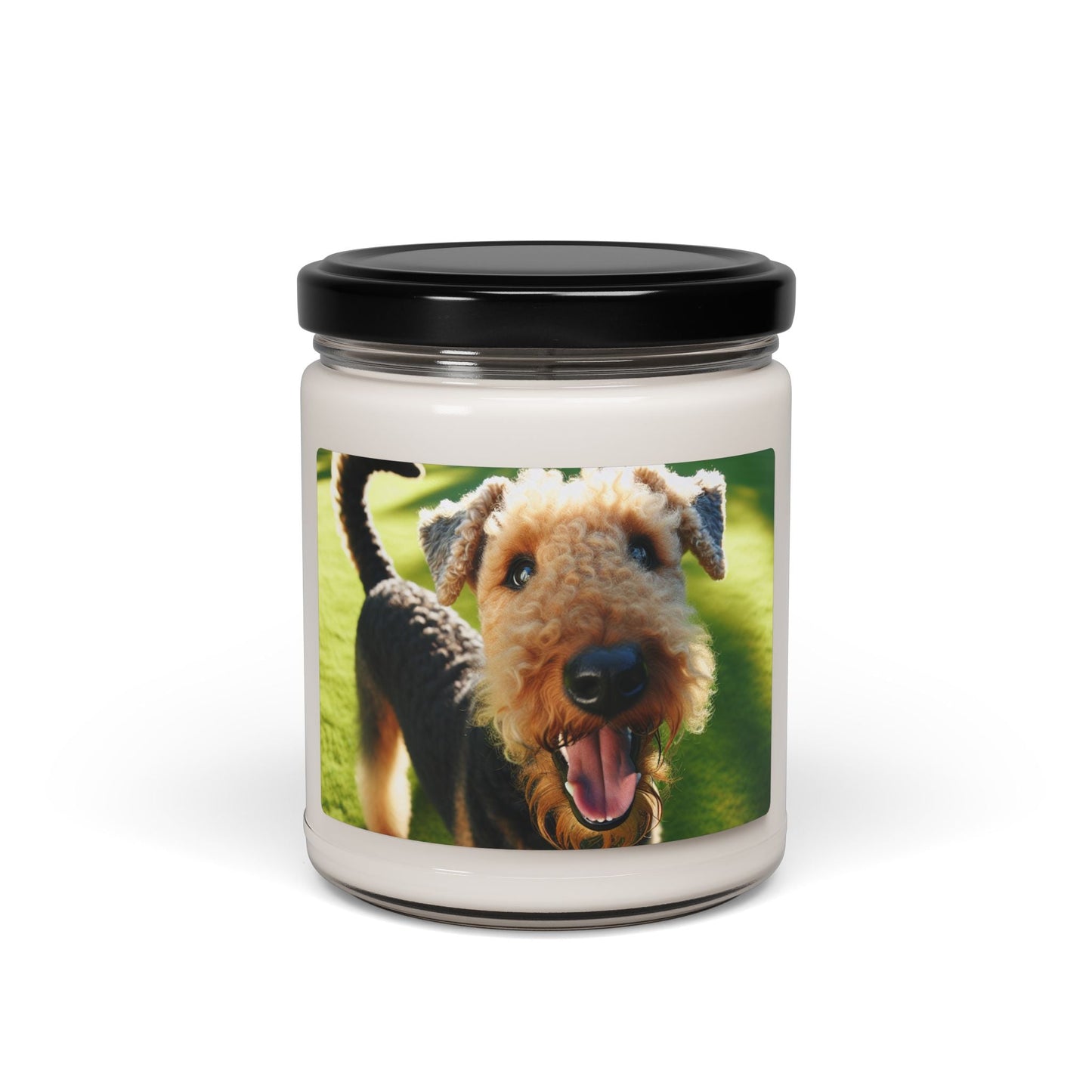 Soy Candle – Scented Jar Candle