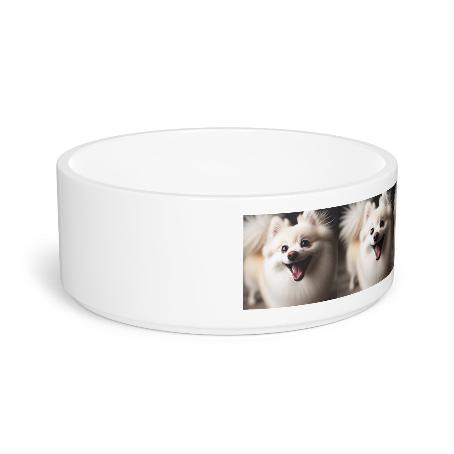 Ceramic Pet Bowl – 16 oz Dog Feeding Bowl