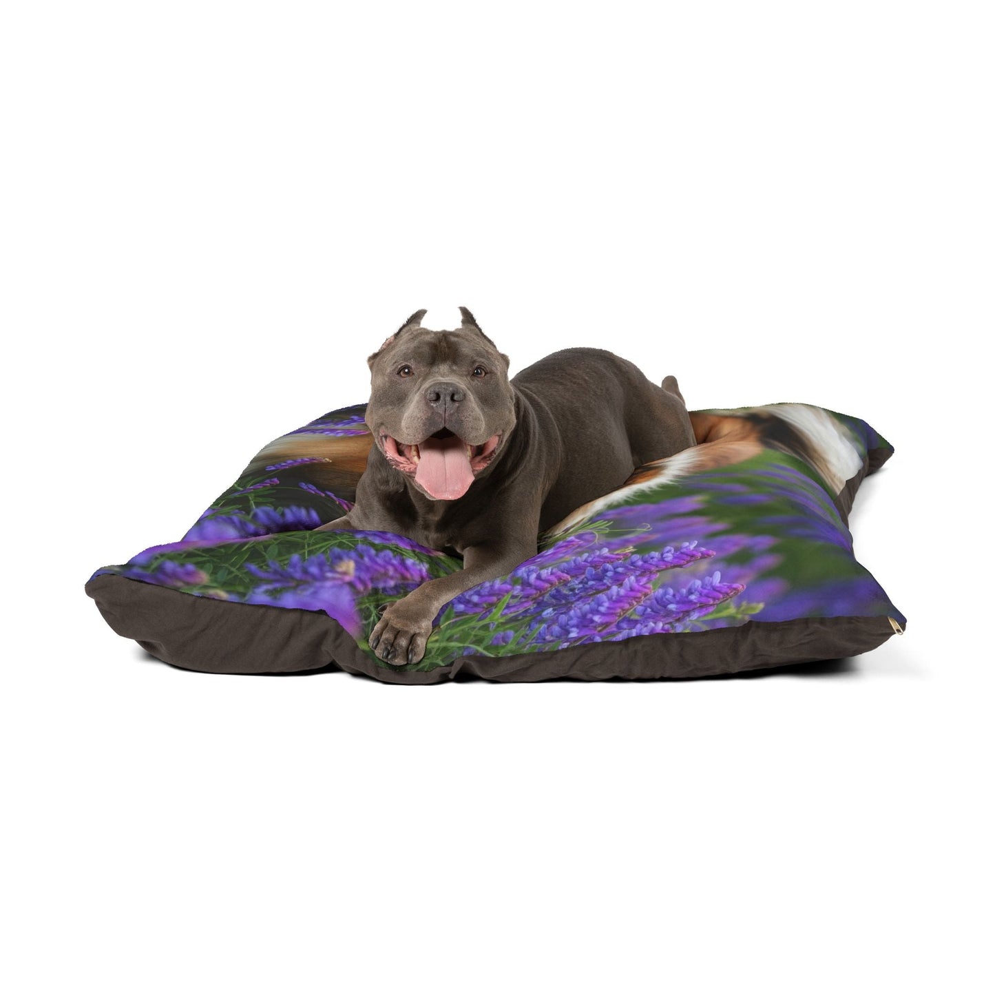 Pet Bed – Plush Dog Bed, 3 Size Options