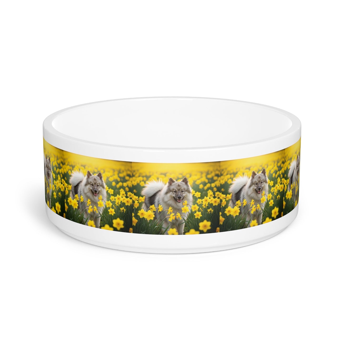 Keramik-Haustierschale – 450 ml Futterschale für Hunde