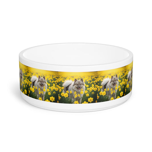 Ceramic Pet Bowl – 16 oz Dog Feeding Bowl