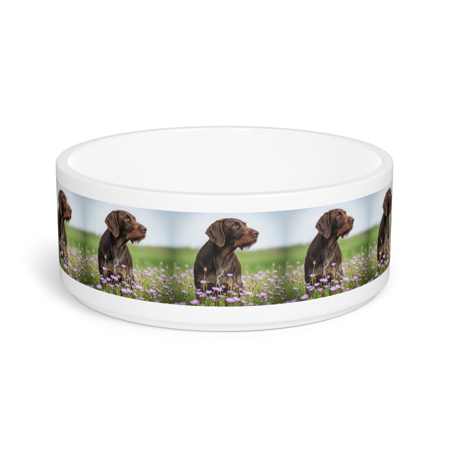Ceramic Pet Bowl – 16 oz Dog Feeding Bowl