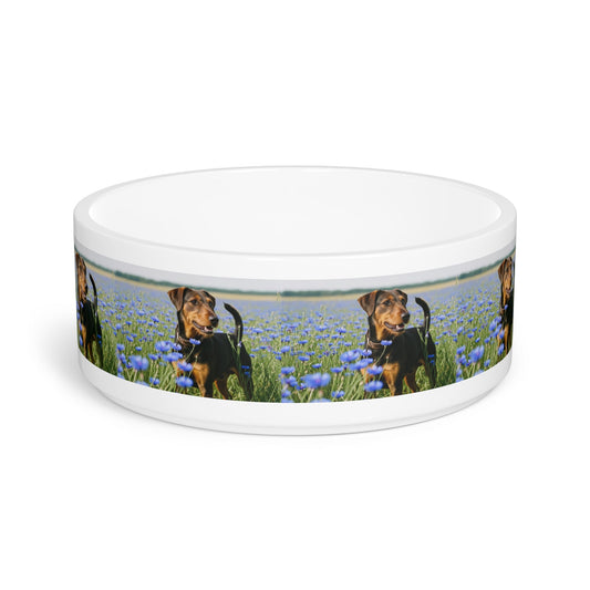 Ceramic Pet Bowl – 16 oz Dog Feeding Bowl