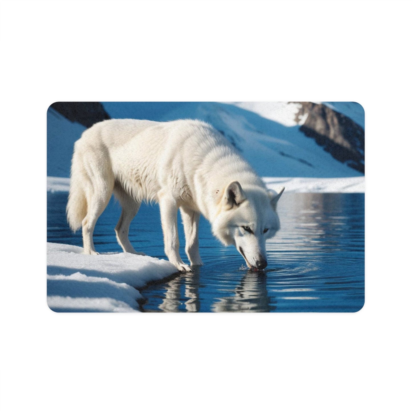 Tapis antidérapant pour animaux de compagnie – Tapis d'alimentation étanche pour chiens