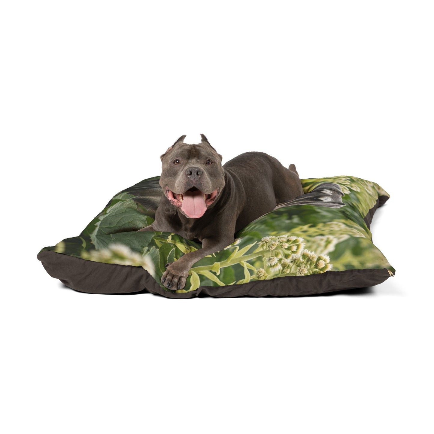 Haustierbett – Plüsch-Hundebett, 3 Größenoptionen