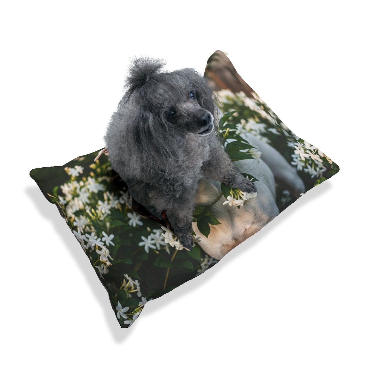 Pet Bed – Plush Dog Bed, 3 Size Options