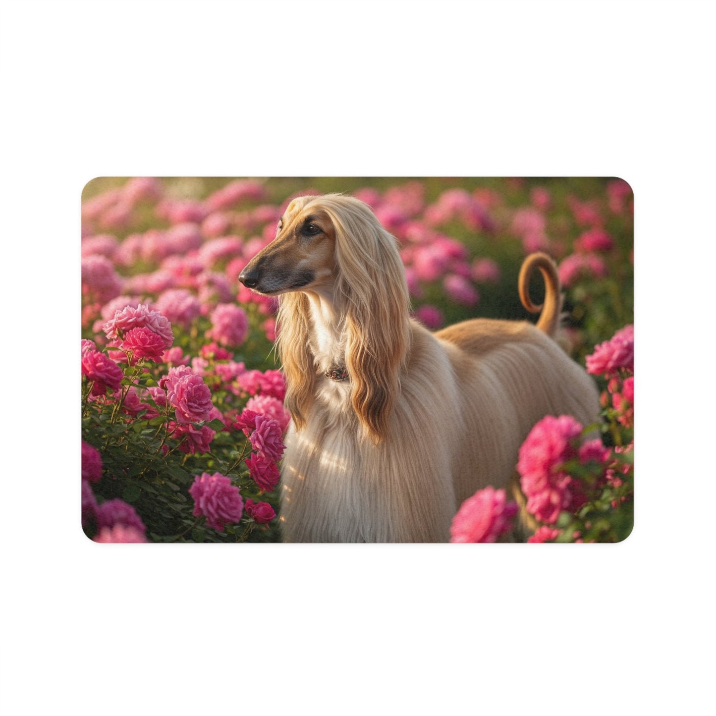 Non-Slip Pet Food Mat – Waterproof Feeding Mat for Dogs