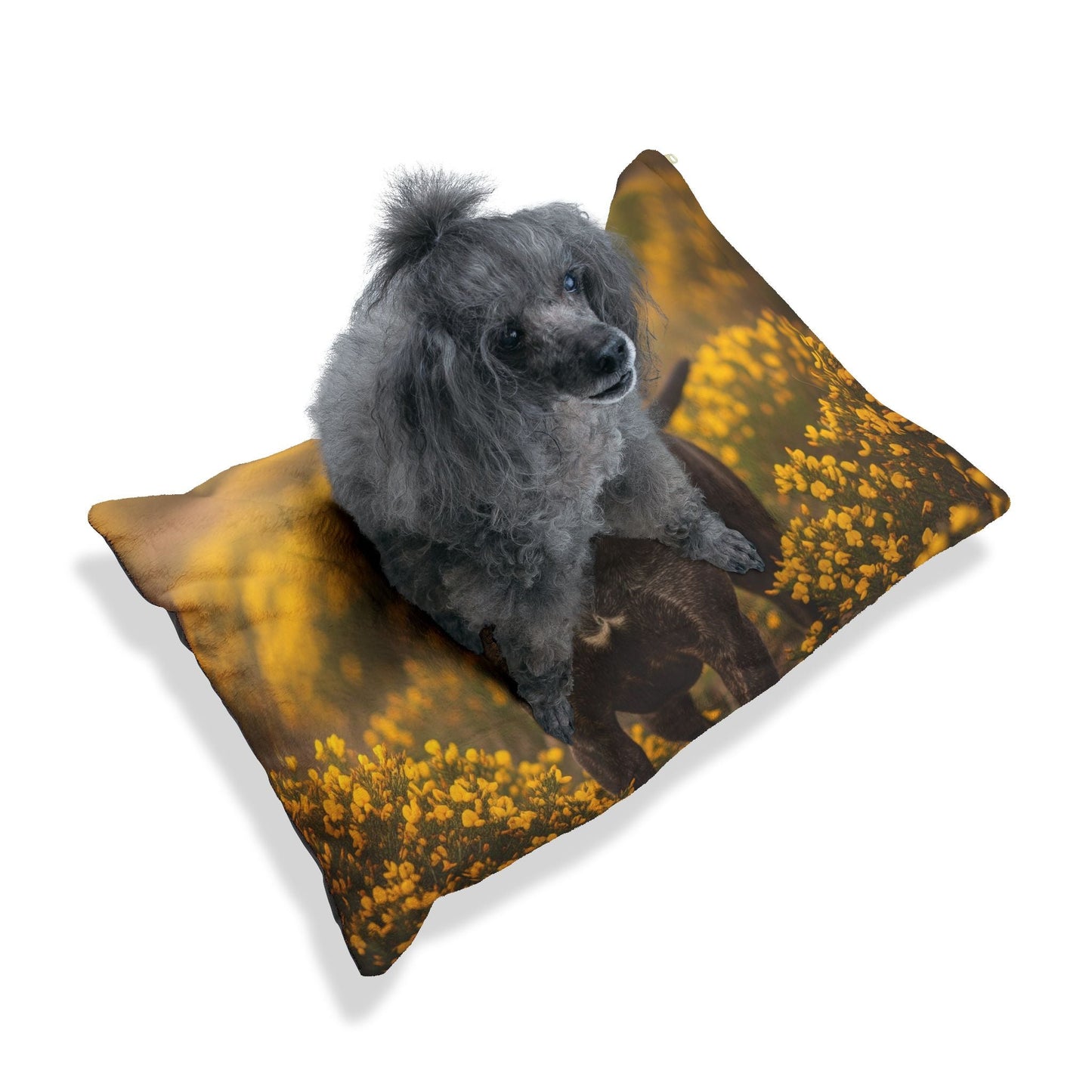 Pet Bed – Plush Dog Bed, 3 Size Options