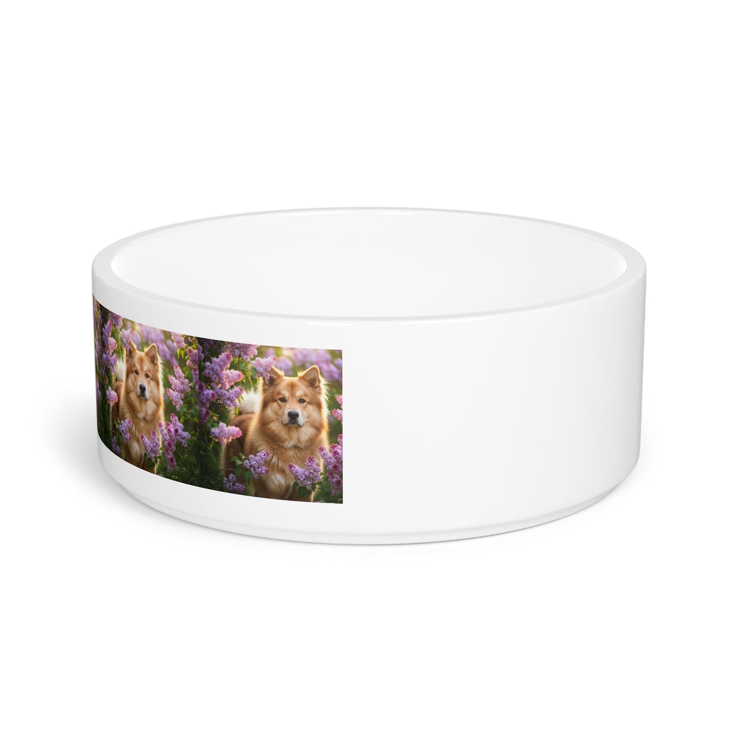 Ceramic Pet Bowl – 16 oz Dog Feeding Bowl