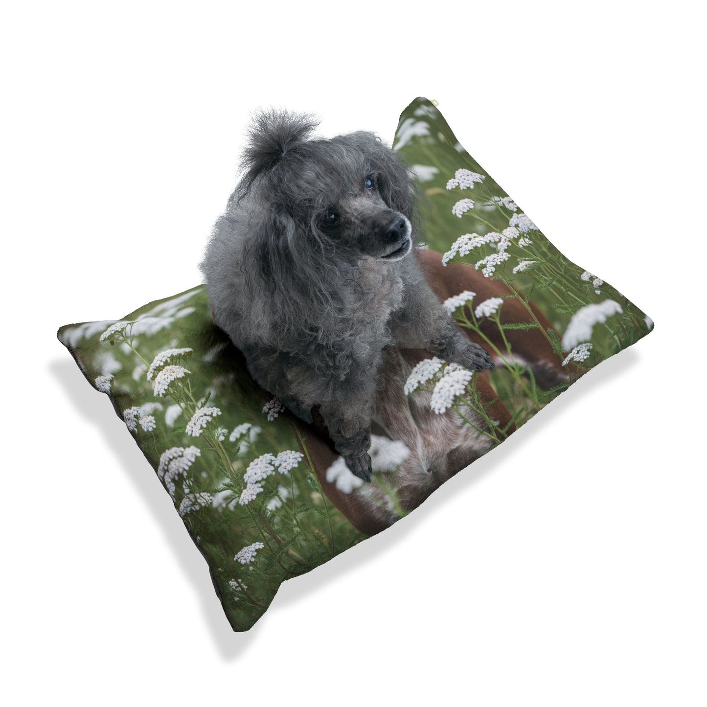 Pet Bed – Plush Dog Bed, 3 Size Options