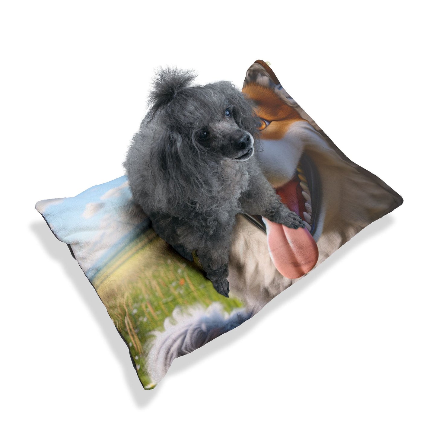 Haustierbett – Plüsch-Hundebett, 3 Größenoptionen