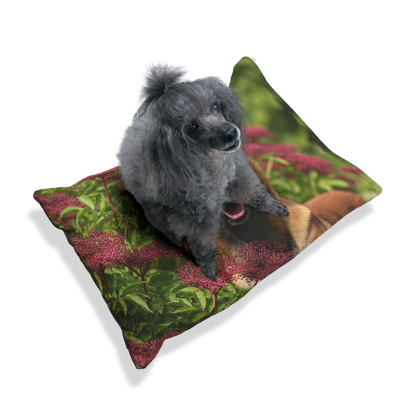 Lit pour animaux de compagnie – Lit douillet pour chien, 3 tailles disponibles