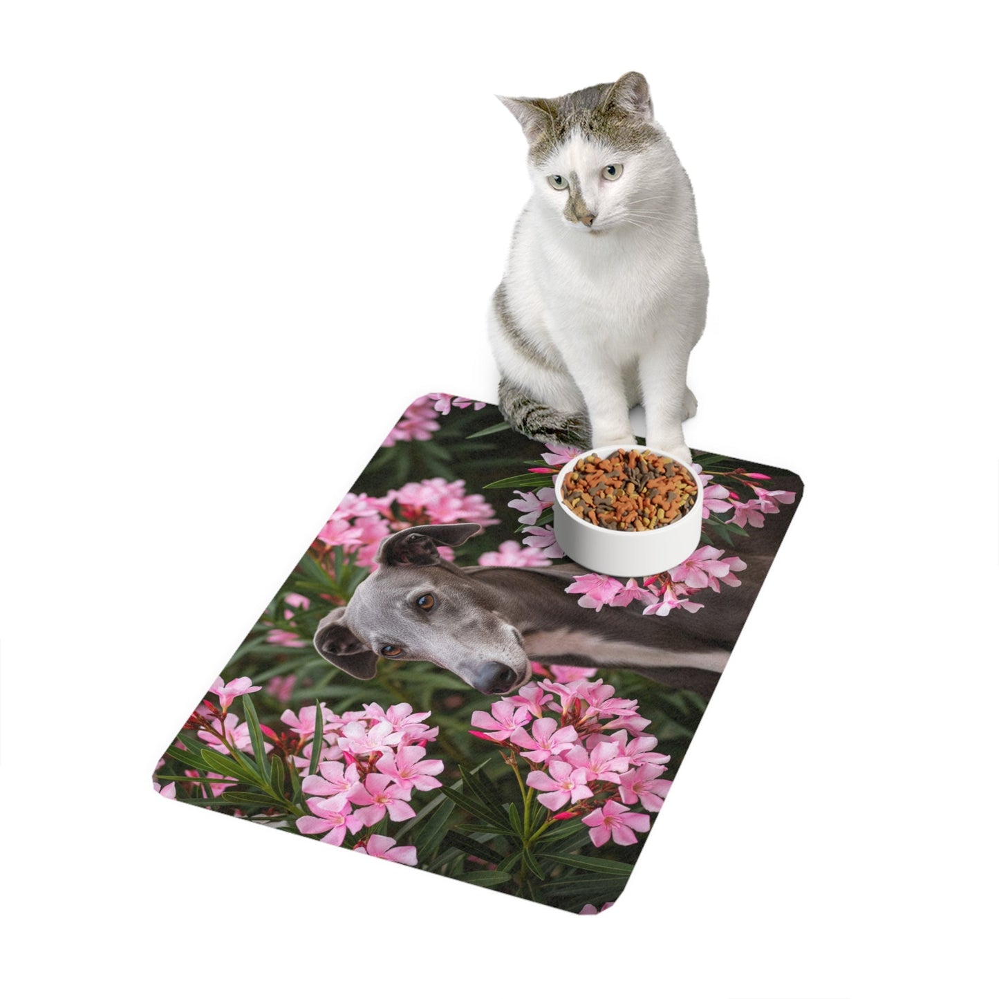 Tapis antidérapant pour animaux de compagnie – Tapis d'alimentation étanche pour chiens