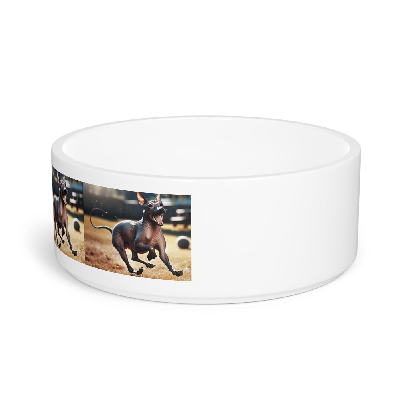 Ceramic Pet Bowl – 16 oz Dog Feeding Bowl
