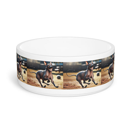 Ceramic Pet Bowl – 16 oz Dog Feeding Bowl