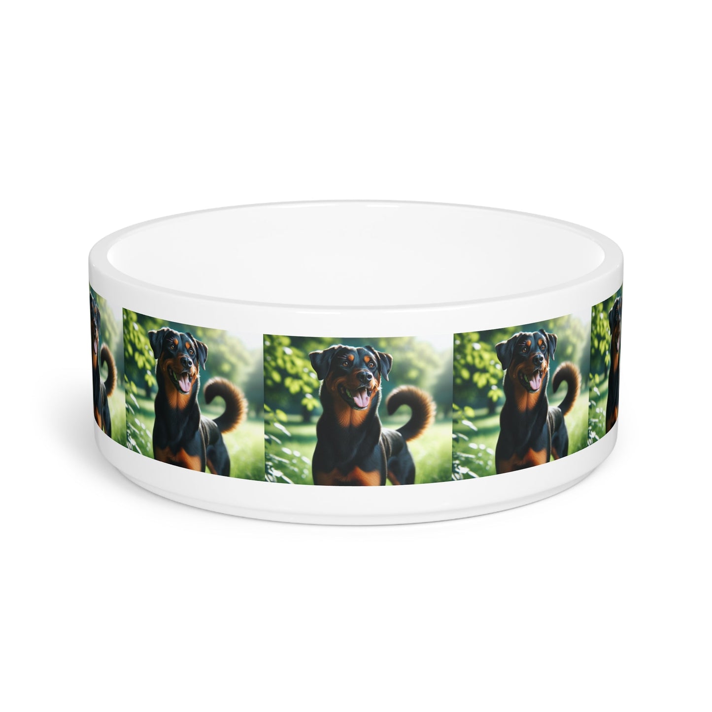 Ceramic Pet Bowl – 16 oz Dog Feeding Bowl