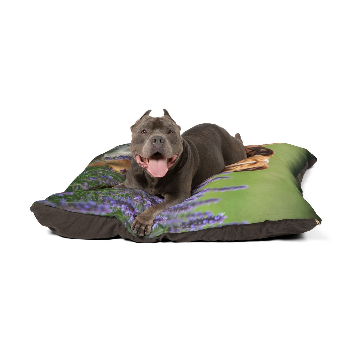 Pet Bed – Plush Dog Bed, 3 Size Options