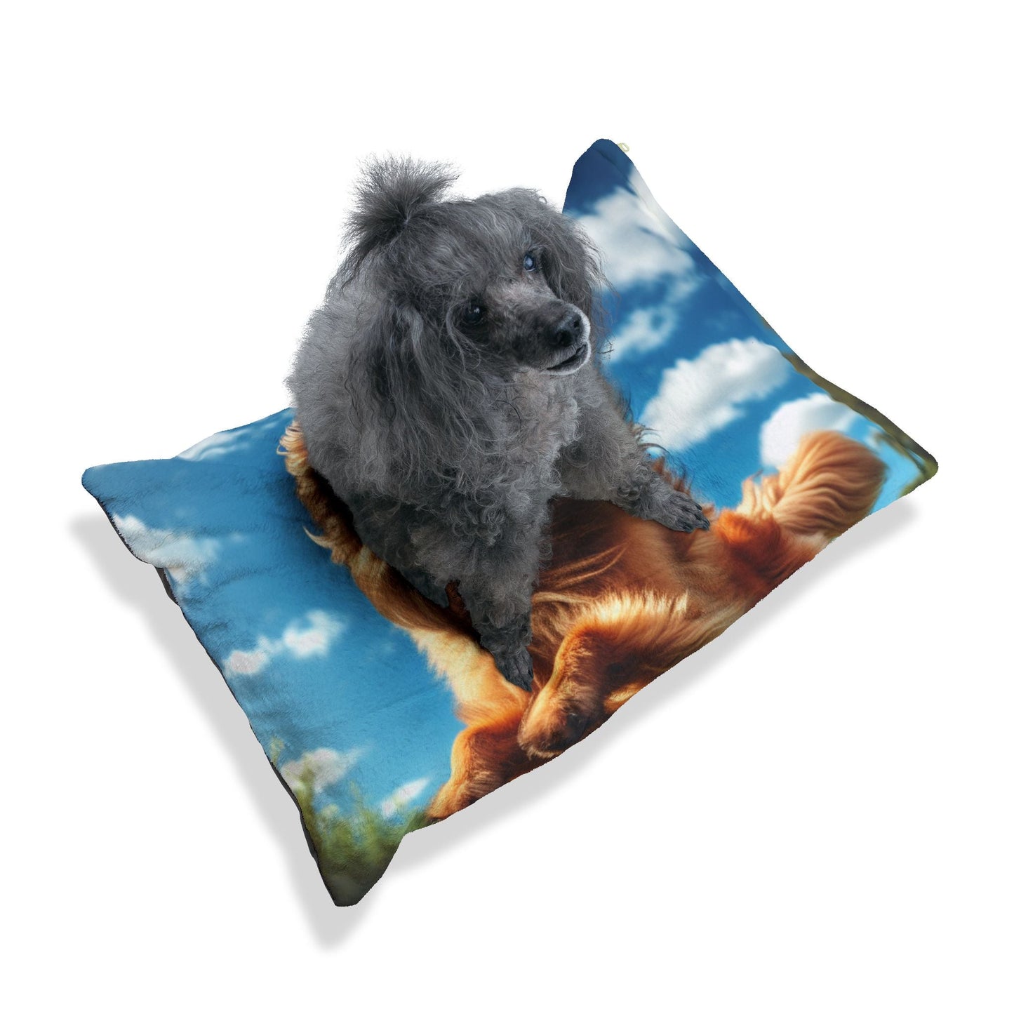 Lit pour animaux de compagnie – Lit douillet pour chien, 3 tailles disponibles