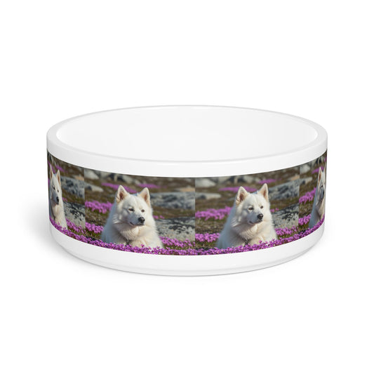 Ceramic Pet Bowl – 16 oz Dog Feeding Bowl