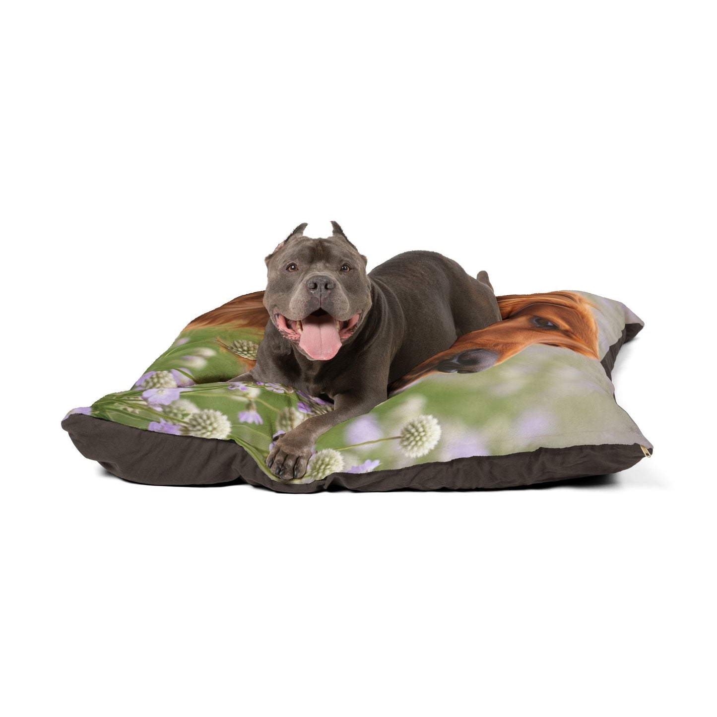 Lit pour animaux de compagnie – Lit douillet pour chien, 3 tailles disponibles
