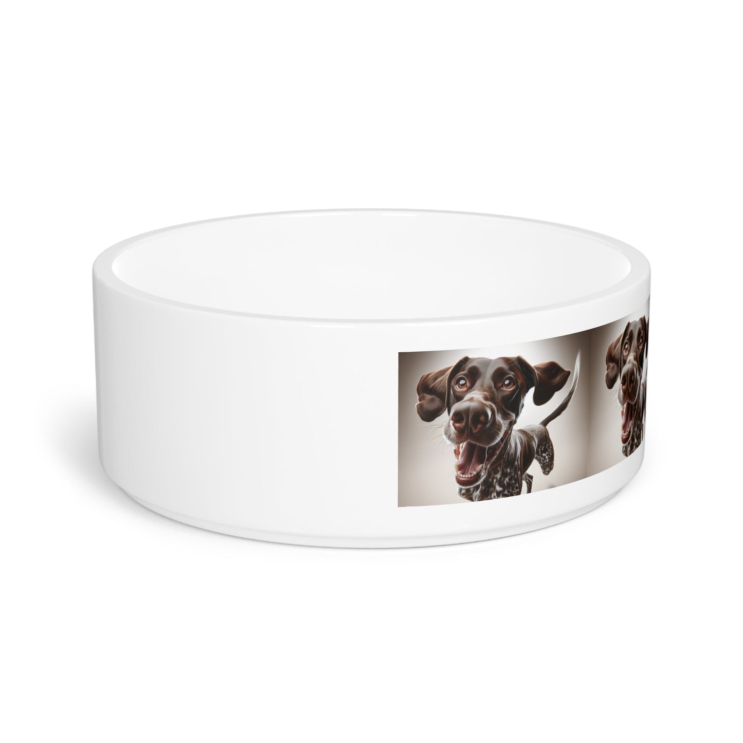 Ceramic Pet Bowl – 16 oz Dog Feeding Bowl
