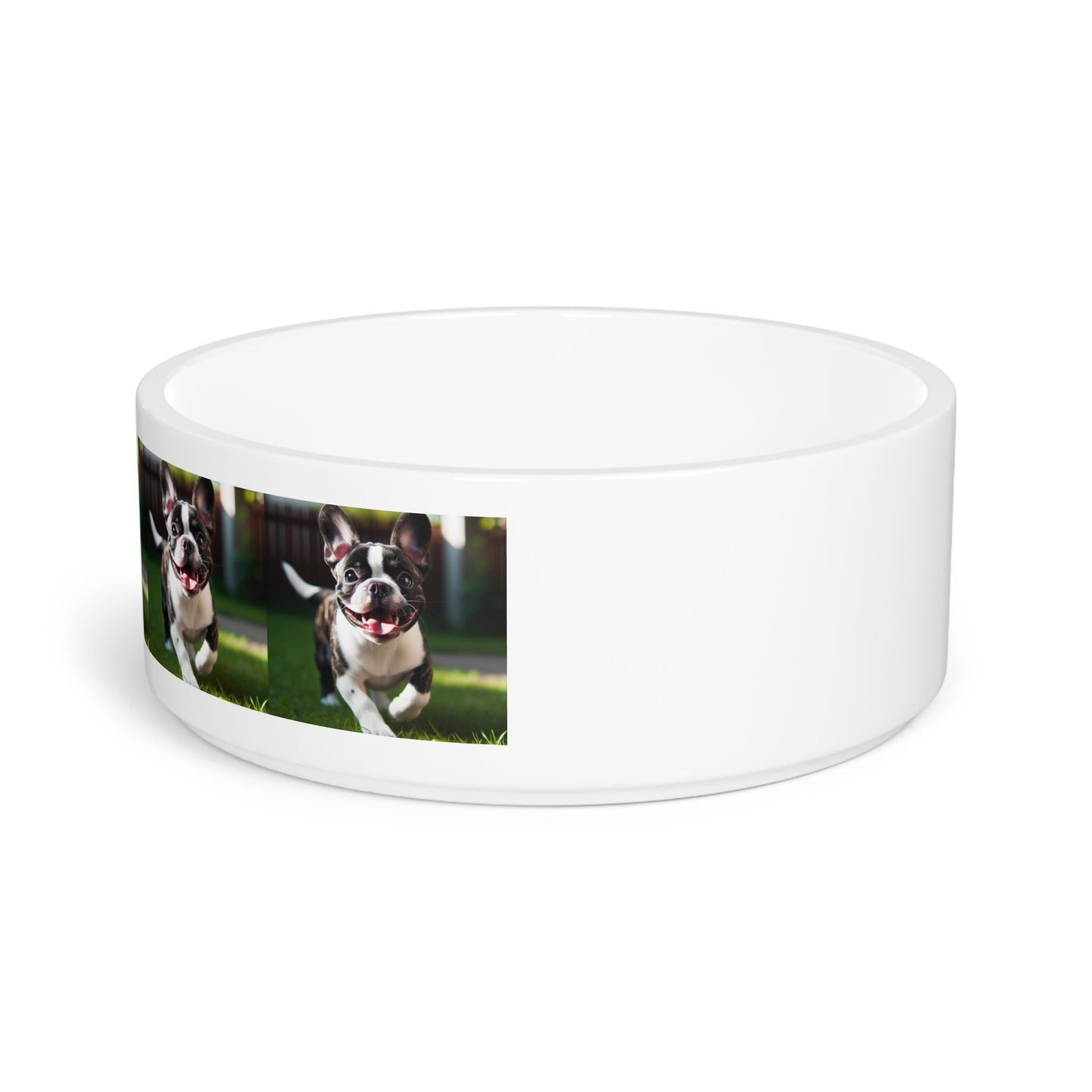 Ceramic Pet Bowl – 16 oz Dog Feeding Bowl