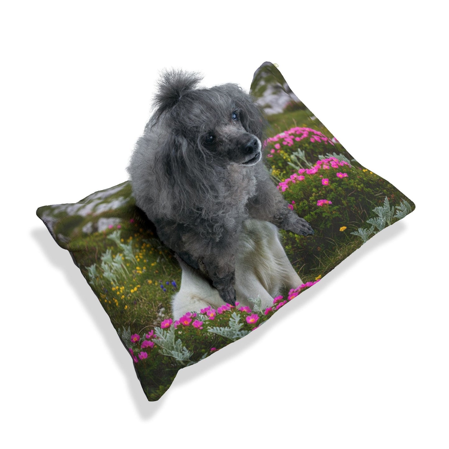 Lit pour animaux – Lit moelleux pour chien, 3 tailles disponibles