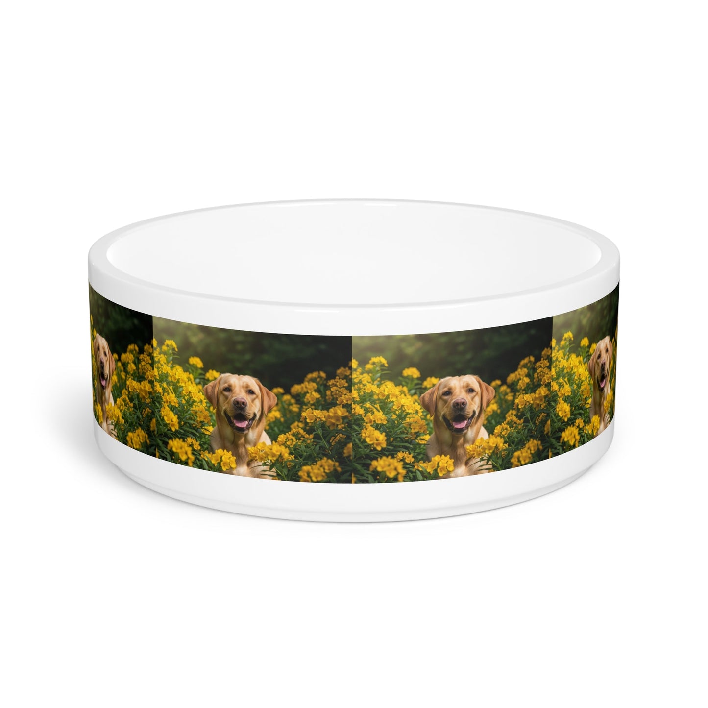 Ceramic Pet Bowl – 16 oz Dog Feeding Bowl