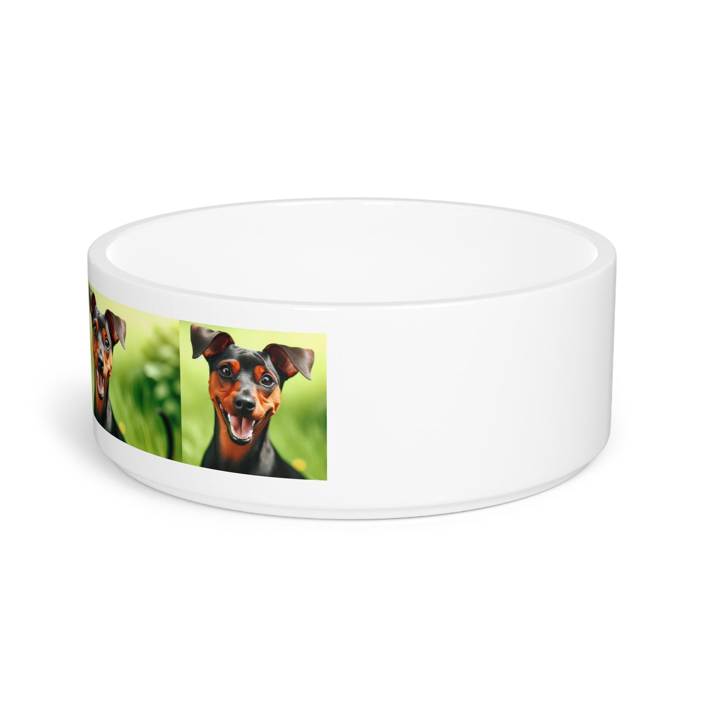 Keramik-Futternapf für Haustiere – 470 ml Hundenapf