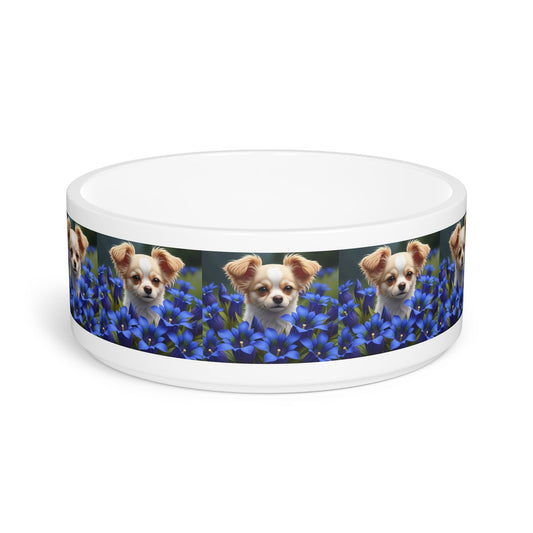 Ceramic Pet Bowl – 16 oz Dog Feeding Bowl