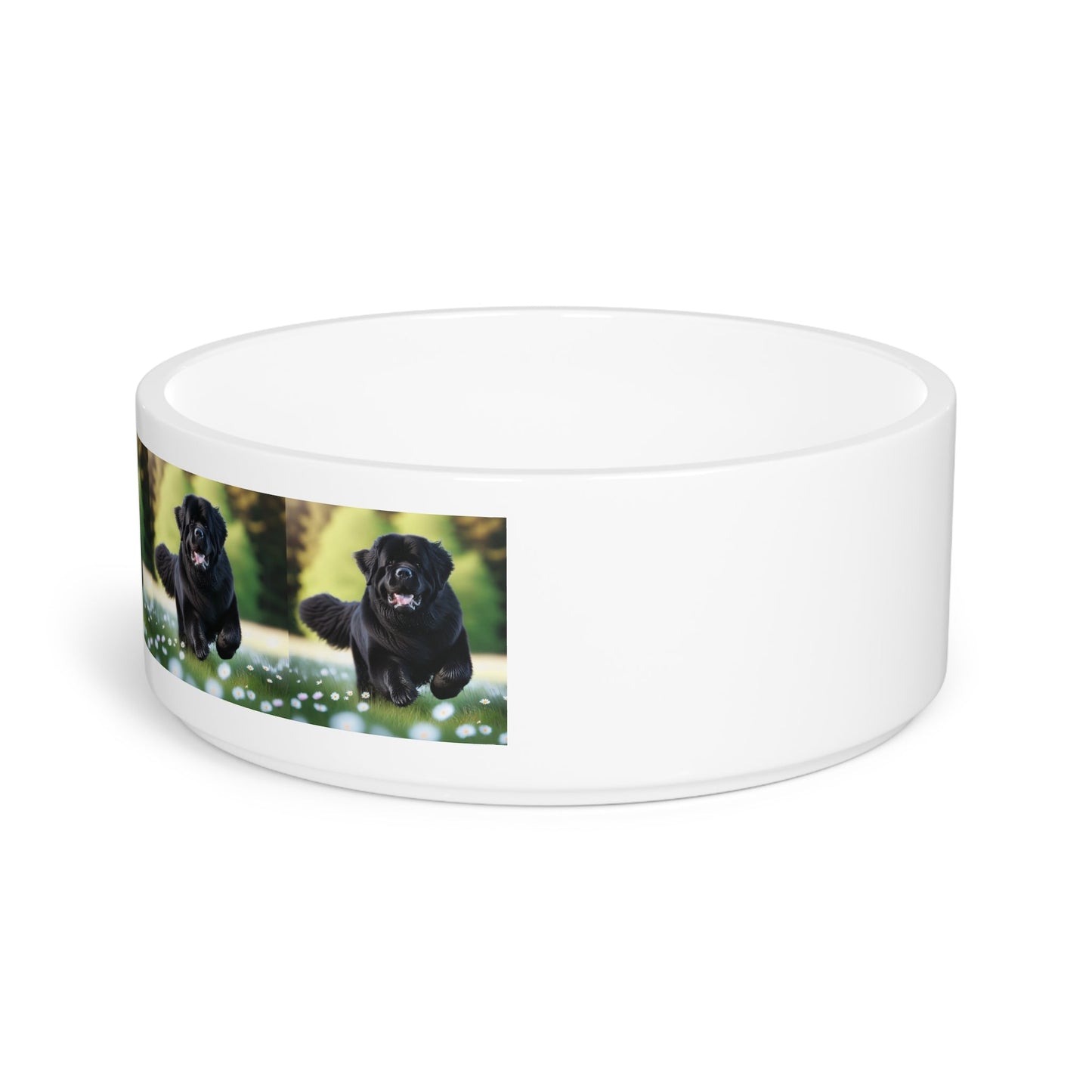 Ceramic Pet Bowl – 16 oz Dog Feeding Bowl