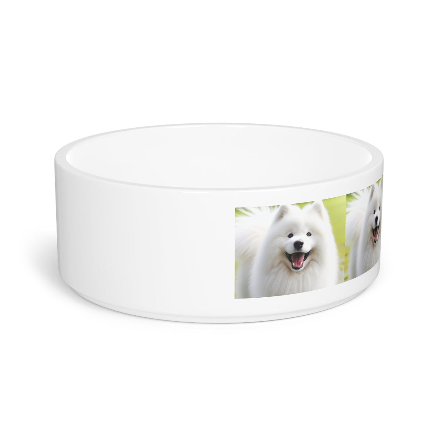 Ceramic Pet Bowl – 16 oz Dog Feeding Bowl