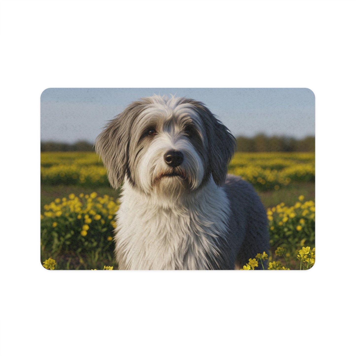 Non-Slip Pet Food Mat – Waterproof Feeding Mat for Dogs