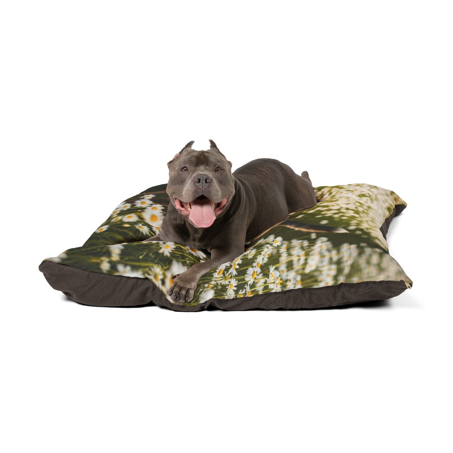 Lit pour animaux de compagnie – Lit douillet pour chien, 3 tailles disponibles