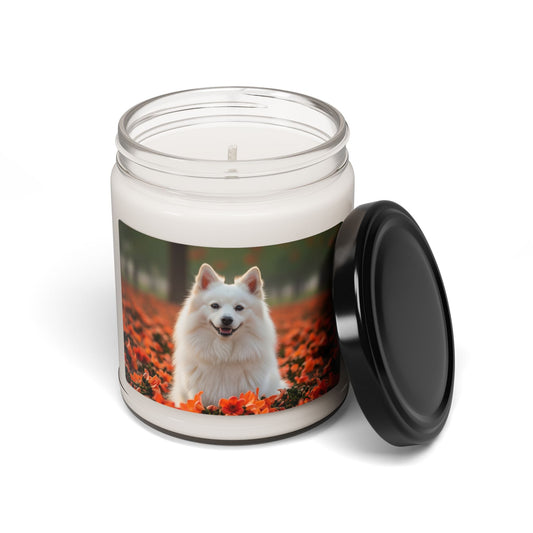 Bougie en cire de soja – Bougie parfumée en pot