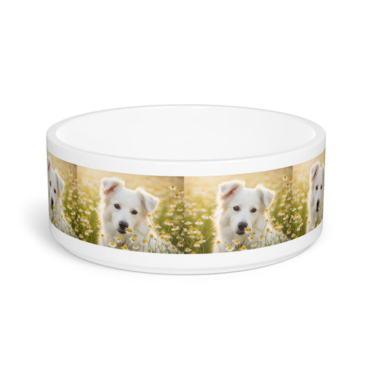 Ceramic Pet Bowl – 16 oz Dog Feeding Bowl