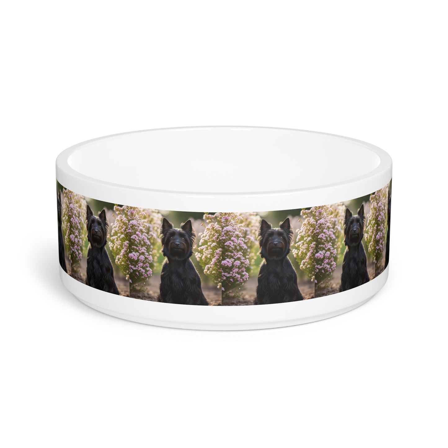 Ceramic Pet Bowl – 16 oz Dog Feeding Bowl