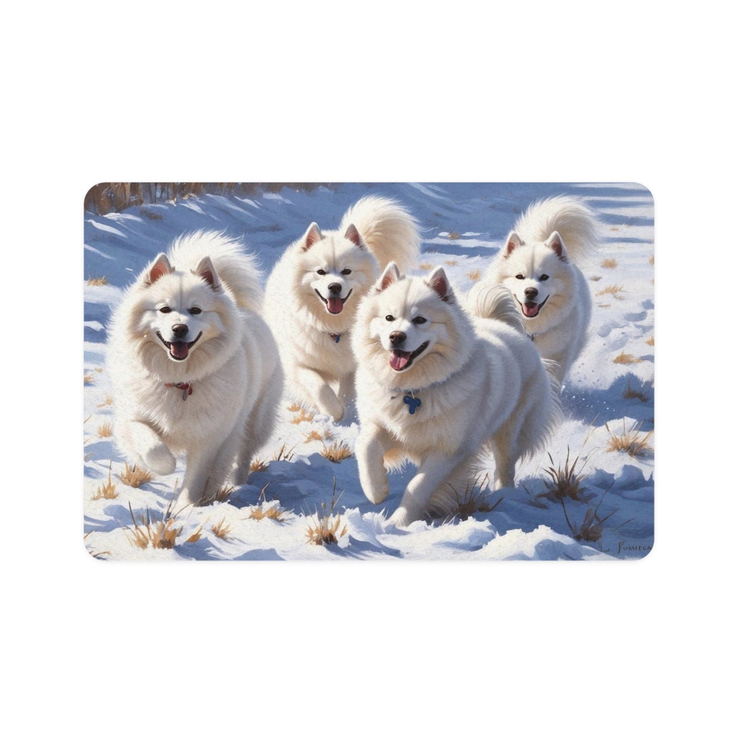 Non-Slip Pet Food Mat – Waterproof Feeding Mat for Dogs