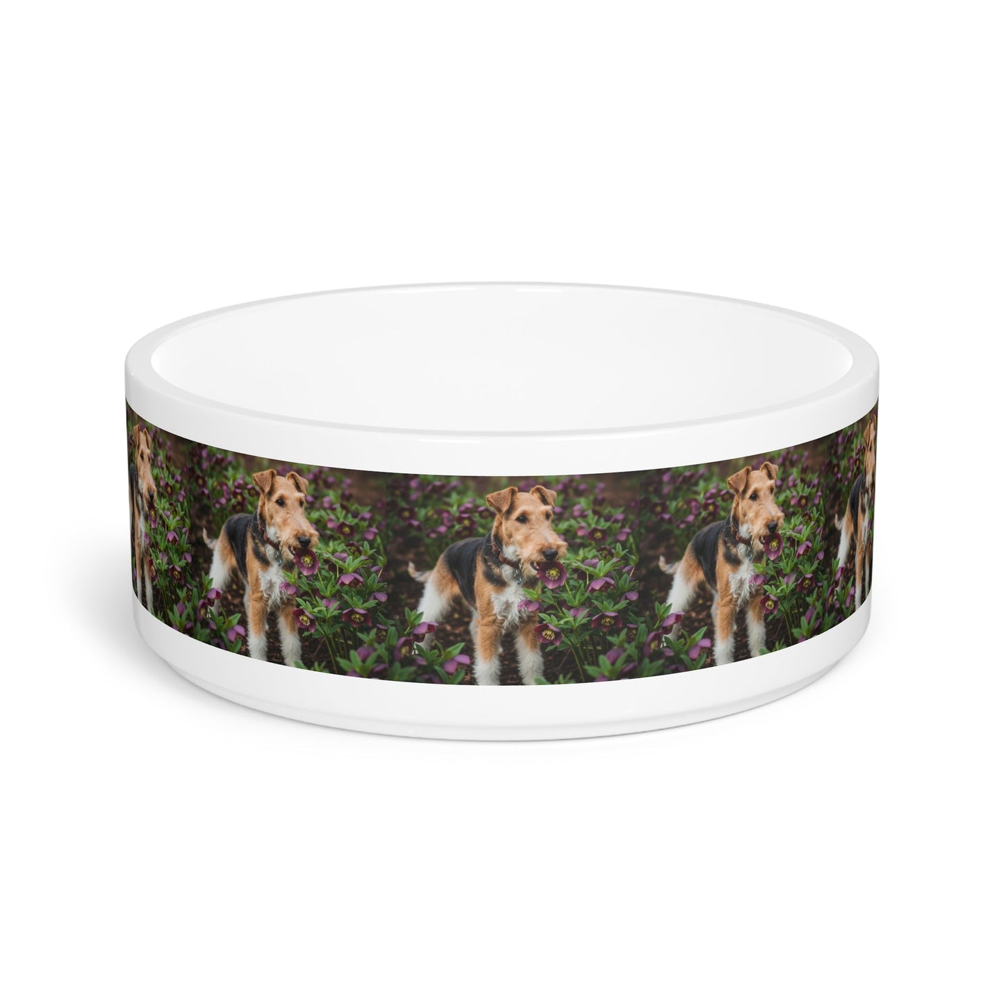 Ceramic Pet Bowl – 16 oz Dog Feeding Bowl