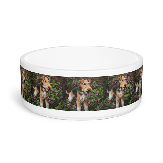 Ceramic Pet Bowl – 16 oz Dog Feeding Bowl