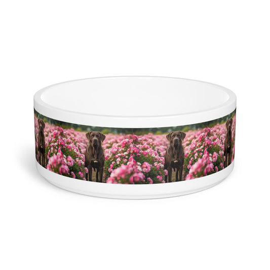 Ceramic Pet Bowl – 16 oz Dog Feeding Bowl