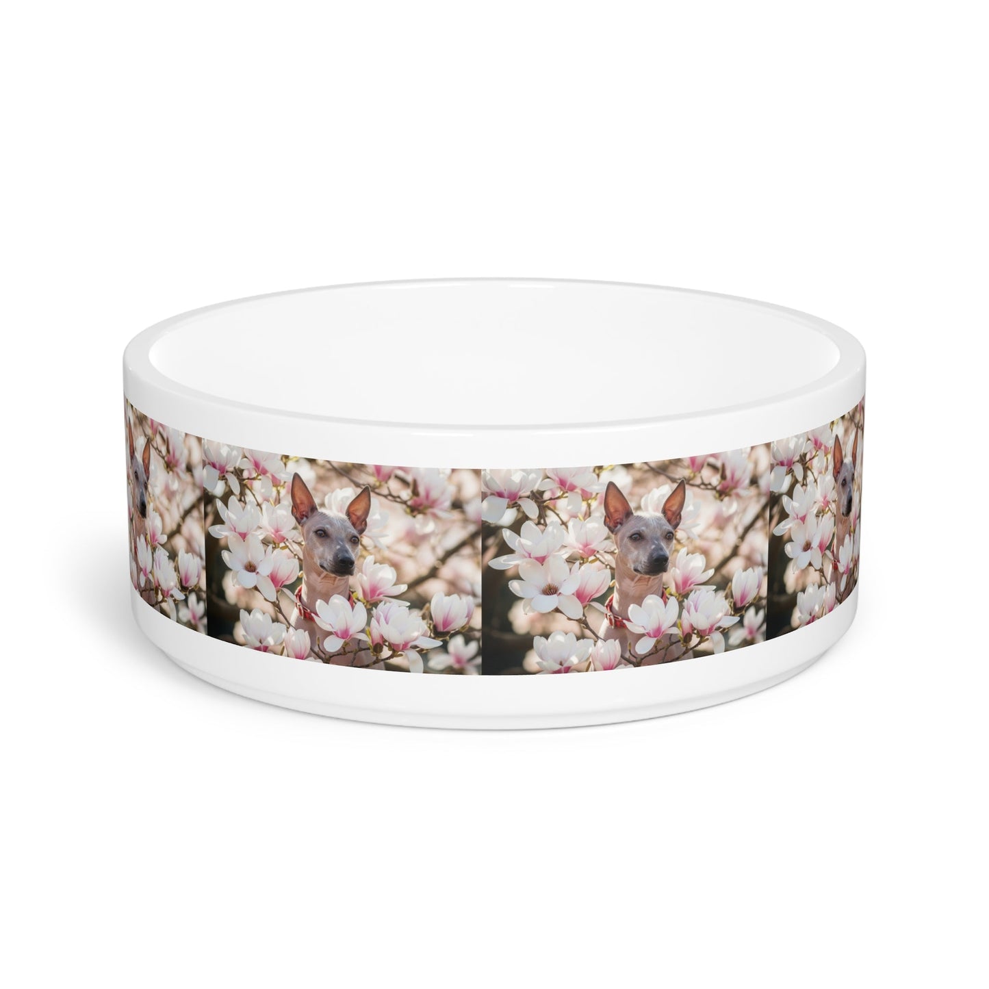 Ceramic Pet Bowl – 16 oz Dog Feeding Bowl