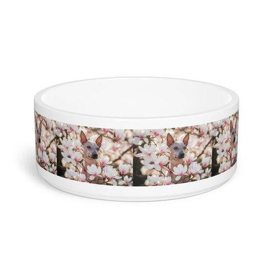 Ceramic Pet Bowl – 16 oz Dog Feeding Bowl