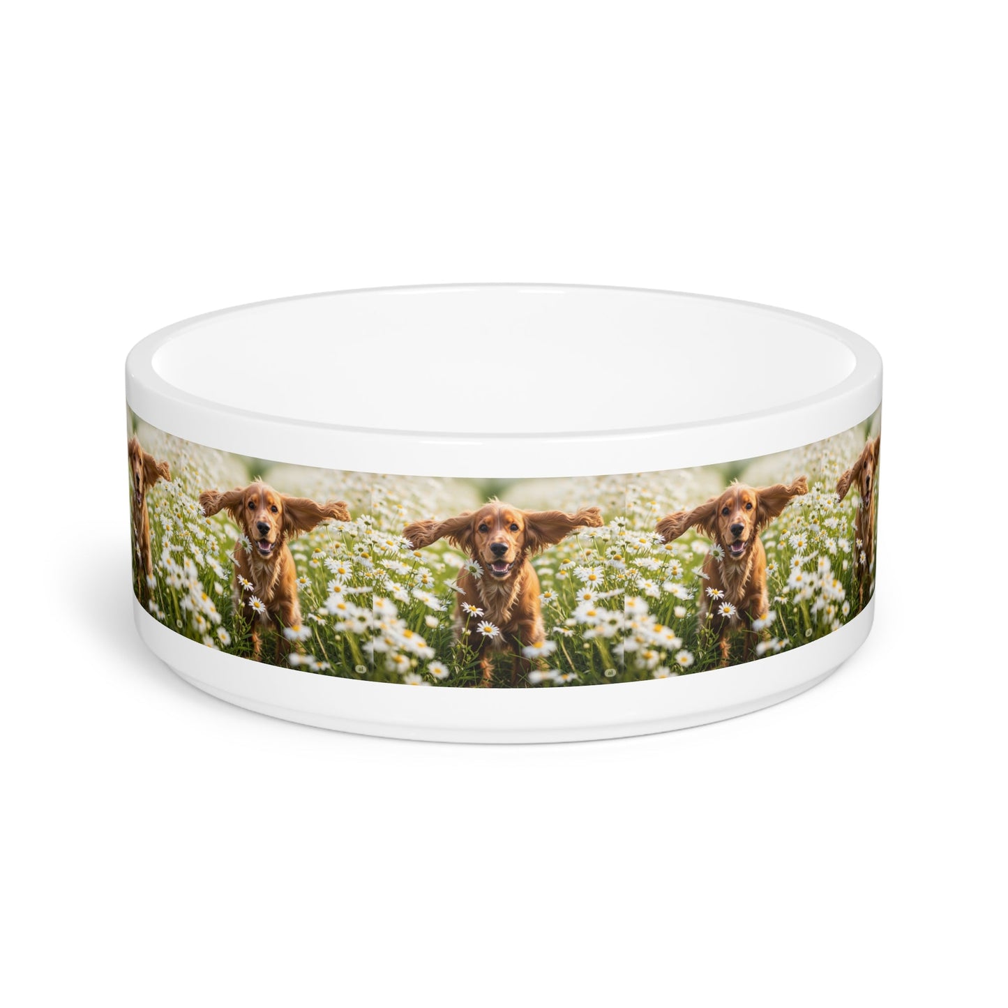 Ceramic Pet Bowl – 16 oz Dog Feeding Bowl