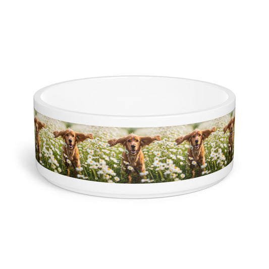 Ceramic Pet Bowl – 16 oz Dog Feeding Bowl